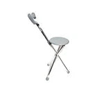 Cane Walking Stick Seat Folding Portable Travel Camp Stool Chair Silver 250 Pound