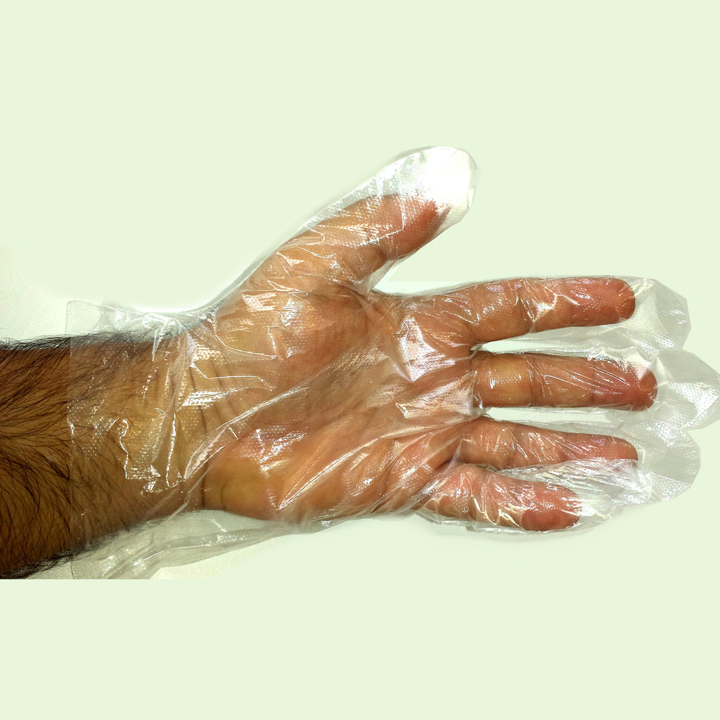 500 Disposable PE Gloves Polyethylene BPA Free Clear Plastic Food Safety Large